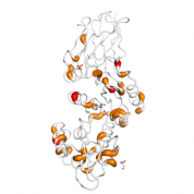 CD38  protein 3D structural model from Catalog of Somatic Mutations in Cancer originally published in the paper COSMIC: somatic cancer genetics at high-resolution