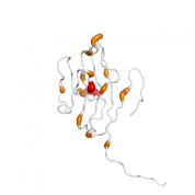 CD48  protein 3D structural model from Catalog of Somatic Mutations in Cancer originally published in the paper COSMIC: somatic cancer genetics at high-resolution
