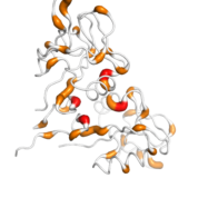 CD69  protein 3D structural model from Catalog of Somatic Mutations in Cancer originally published in the paper COSMIC: somatic cancer genetics at high-resolution