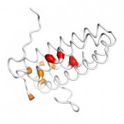 CDK2AP2  protein 3D structural model from Catalog of Somatic Mutations in Cancer originally published in the paper COSMIC: somatic cancer genetics at high-resolution