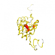 p16-INK4a  protein 3D structural model from Catalog of Somatic Mutations in Cancer originally published in the paper COSMIC: somatic cancer genetics at high-resolution