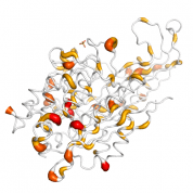 CNDP1  protein 3D structural model from Catalog of Somatic Mutations in Cancer originally published in the paper COSMIC: somatic cancer genetics at high-resolution