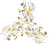 Collagen-III protein 3D structural model from Catalog of Somatic Mutations in Cancer originally published in the paper COSMIC: somatic cancer genetics at high-resolution