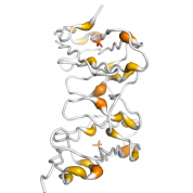 CRTAM  protein 3D structural model from Catalog of Somatic Mutations in Cancer originally published in the paper COSMIC: somatic cancer genetics at high-resolution