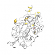 CSTA  protein 3D structural model from Catalog of Somatic Mutations in Cancer originally published in the paper COSMIC: somatic cancer genetics at high-resolution