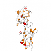 CTLA4  protein 3D structural model from Catalog of Somatic Mutations in Cancer originally published in the paper COSMIC: somatic cancer genetics at high-resolution