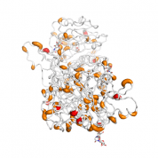 CTSA  protein 3D structural model from Catalog of Somatic Mutations in Cancer originally published in the paper COSMIC: somatic cancer genetics at high-resolution