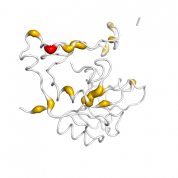 CTSB  protein 3D structural model from Catalog of Somatic Mutations in Cancer originally published in the paper COSMIC: somatic cancer genetics at high-resolution
