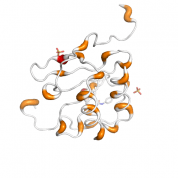 SDF 1b  protein 3D structural model from Catalog of Somatic Mutations in Cancer originally published in the paper COSMIC: somatic cancer genetics at high-resolution