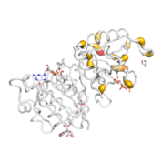 CYTH3  protein 3D structural model from Catalog of Somatic Mutations in Cancer originally published in the paper COSMIC: somatic cancer genetics at high-resolution