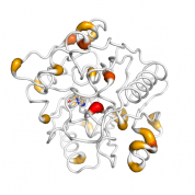DDAH1  protein 3D structural model from Catalog of Somatic Mutations in Cancer originally published in the paper COSMIC: somatic cancer genetics at high-resolution