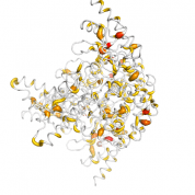 Dopa Decarboxylase  protein 3D structural model from Catalog of Somatic Mutations in Cancer originally published in the paper COSMIC: somatic cancer genetics at high-resolution