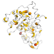 DNMT3L  protein 3D structural model from Catalog of Somatic Mutations in Cancer originally published in the paper COSMIC: somatic cancer genetics at high-resolution