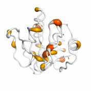 DUSP6  protein 3D structural model from Catalog of Somatic Mutations in Cancer originally published in the paper COSMIC: somatic cancer genetics at high-resolution