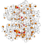 ECH1  protein 3D structural model from Catalog of Somatic Mutations in Cancer originally published in the paper COSMIC: somatic cancer genetics at high-resolution