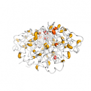 Esterase D  protein 3D structural model from Catalog of Somatic Mutations in Cancer originally published in the paper COSMIC: somatic cancer genetics at high-resolution