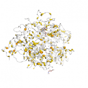 F8  protein 3D structural model from Catalog of Somatic Mutations in Cancer originally published in the paper COSMIC: somatic cancer genetics at high-resolution