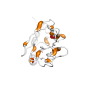 FABP4  protein 3D structural model from Catalog of Somatic Mutations in Cancer originally published in the paper COSMIC: somatic cancer genetics at high-resolution