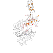 FCGR1A  protein 3D structural model from Catalog of Somatic Mutations in Cancer originally published in the paper COSMIC: somatic cancer genetics at high-resolution