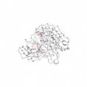 FCGR2B  protein 3D structural model from Catalog of Somatic Mutations in Cancer originally published in the paper COSMIC: somatic cancer genetics at high-resolution