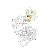 FCGR3B  protein 3D structural model from Catalog of Somatic Mutations in Cancer originally published in the paper COSMIC: somatic cancer genetics at high-resolution