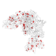 FEN1  protein 3D structural model from Catalog of Somatic Mutations in Cancer originally published in the paper COSMIC: somatic cancer genetics at high-resolution