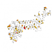 Fumarase  protein 3D structural model from Catalog of Somatic Mutations in Cancer originally published in the paper COSMIC: somatic cancer genetics at high-resolution