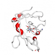 FKBP1A  protein 3D structural model from Catalog of Somatic Mutations in Cancer originally published in the paper COSMIC: somatic cancer genetics at high-resolution