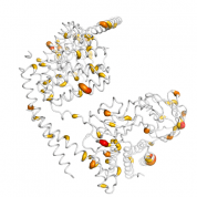 FKBP4  protein 3D structural model from Catalog of Somatic Mutations in Cancer originally published in the paper COSMIC: somatic cancer genetics at high-resolution
