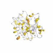 p59-Fyn  protein 3D structural model from Catalog of Somatic Mutations in Cancer originally published in the paper COSMIC: somatic cancer genetics at high-resolution