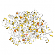 GAD1  protein 3D structural model from Catalog of Somatic Mutations in Cancer originally published in the paper COSMIC: somatic cancer genetics at high-resolution