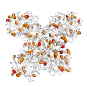 GAPDH  protein 3D structural model from Catalog of Somatic Mutations in Cancer originally published in the paper COSMIC: somatic cancer genetics at high-resolution
