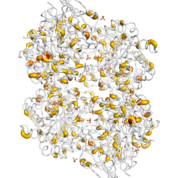 GBA  protein 3D structural model from Catalog of Somatic Mutations in Cancer originally published in the paper COSMIC: somatic cancer genetics at high-resolution