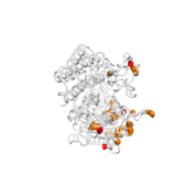 GINS4  protein 3D structural model from Catalog of Somatic Mutations in Cancer originally published in the paper COSMIC: somatic cancer genetics at high-resolution