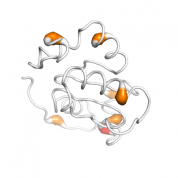 GLRX5  protein 3D structural model from Catalog of Somatic Mutations in Cancer originally published in the paper COSMIC: somatic cancer genetics at high-resolution