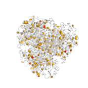 GLUD1  protein 3D structural model from Catalog of Somatic Mutations in Cancer originally published in the paper COSMIC: somatic cancer genetics at high-resolution