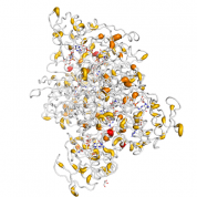 GMDS  protein 3D structural model from Catalog of Somatic Mutations in Cancer originally published in the paper COSMIC: somatic cancer genetics at high-resolution