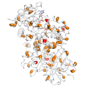 GPD1L  protein 3D structural model from Catalog of Somatic Mutations in Cancer originally published in the paper COSMIC: somatic cancer genetics at high-resolution