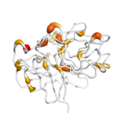 GZMH  protein 3D structural model from Catalog of Somatic Mutations in Cancer originally published in the paper COSMIC: somatic cancer genetics at high-resolution