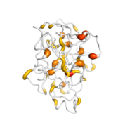 GZMK  protein 3D structural model from Catalog of Somatic Mutations in Cancer originally published in the paper COSMIC: somatic cancer genetics at high-resolution