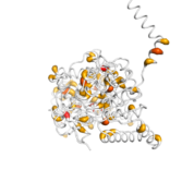 HADH  protein 3D structural model from Catalog of Somatic Mutations in Cancer originally published in the paper COSMIC: somatic cancer genetics at high-resolution