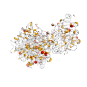 HDAC2  protein 3D structural model from Catalog of Somatic Mutations in Cancer originally published in the paper COSMIC: somatic cancer genetics at high-resolution