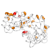 HDHD2  protein 3D structural model from Catalog of Somatic Mutations in Cancer originally published in the paper COSMIC: somatic cancer genetics at high-resolution