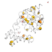 HDHD3  protein 3D structural model from Catalog of Somatic Mutations in Cancer originally published in the paper COSMIC: somatic cancer genetics at high-resolution