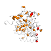 HIBCH  protein 3D structural model from Catalog of Somatic Mutations in Cancer originally published in the paper COSMIC: somatic cancer genetics at high-resolution