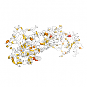 HK2  protein 3D structural model from Catalog of Somatic Mutations in Cancer originally published in the paper COSMIC: somatic cancer genetics at high-resolution