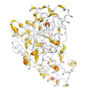 HK3  protein 3D structural model from Catalog of Somatic Mutations in Cancer originally published in the paper COSMIC: somatic cancer genetics at high-resolution