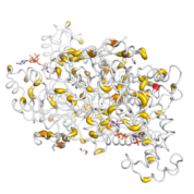 HMGCS1  protein 3D structural model from Catalog of Somatic Mutations in Cancer originally published in the paper COSMIC: somatic cancer genetics at high-resolution