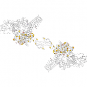 Haptoglobin   protein 3D structural model from Catalog of Somatic Mutations in Cancer originally published in the paper COSMIC: somatic cancer genetics at high-resolution