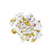 HPGD  protein 3D structural model from Catalog of Somatic Mutations in Cancer originally published in the paper COSMIC: somatic cancer genetics at high-resolution